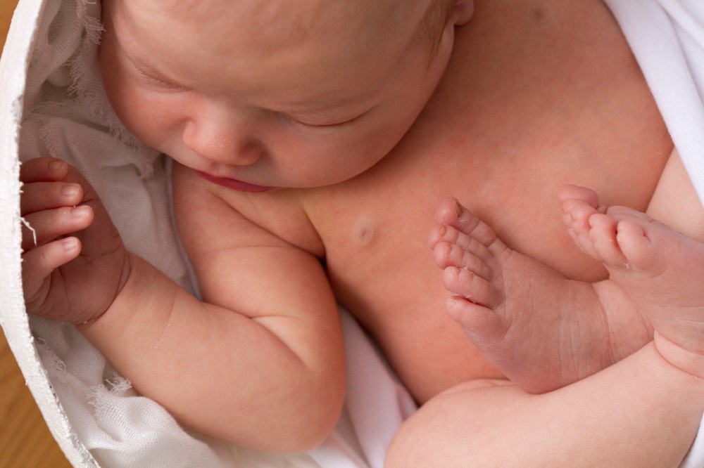 close up image of a curled up baby, looking down from above. Baby curled up inside mum's plaster belly mould.
